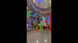 Indoor Skydiving Race In Abu Dhabi