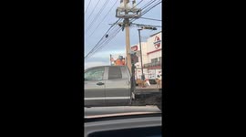 Pack Of Puppies On Truck Bed Patrol
