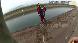 US: Dogs Trapped in Canal Rescued by Heroic Deputies