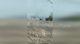 Deer flee through fields as wildfires spread in Oklahoma