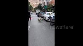 China: A Golden Retriever Can Do Grocery