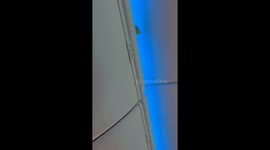 Feathered stowaway! Passenger stunned as bird flies through Ryanair cabin mid-flight