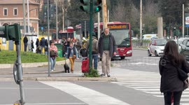 A man sells bunches of mimosa flowers at a crossroads on the occasion of Women's Day in Rome.