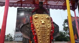 Dozens of Elephants Parade in this Temple Festival Pariapally Gajamela