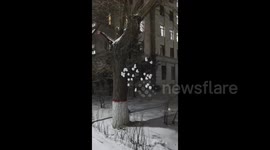 China: Floating Snowballs