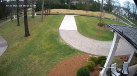 US: Lightning Strike Splinters Tree in Nashville Yard