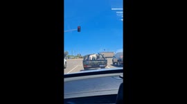 Dog Wearing Sunglasses Riding In A Trailer With A Bubble Machine