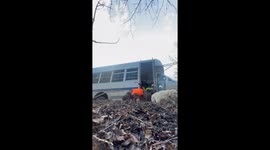 Graceful Bark Bus Exits Are Overrated