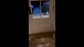 Bird Lays Egg Outside Home