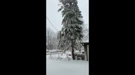 Blizzard pounds with heavy snow and damaging winds in Omaha, Nebraska, USA