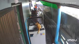 Paws, spin, repeat! Clumsy cat traps itself in washing machine