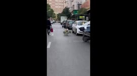 Golden Retriever carries baskets with groceries inside
