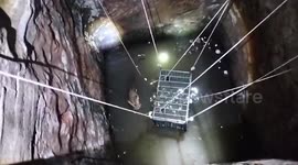 India: Lioness falls into 35-foot-deep well, rescued