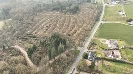 Tree Damage At Drum Manor Forest Park Update After Storm - Aerial Clip 2