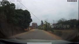 Dog blocks road to warn driver of approaching truck in China