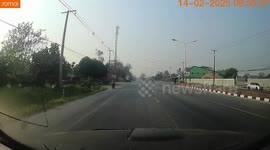 Horse trots across road in front of oncoming cars