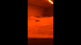 Rodents move around in enclosure at Plzeň Zoo