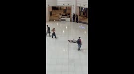 Dog seen pulling a bag with another dog inside in Makati, Philippines