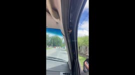 Spider surprises passengers inside car in Salta, Argentina