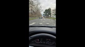 Truck drops load on road as geese cross in Dunkirk, France