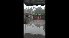 Man cuts tree amid rain and strong winds in Jember, Indonesia