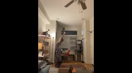 My Cat Wasn't Satisfied With the Speed of My Dropback