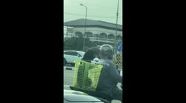 Dog rides in laundry basket on back of motorcycle