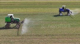 China: China to expand agricultural insurance to better support farmers