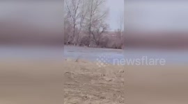 Police rescue horses trapped in floods in Kazakhstan