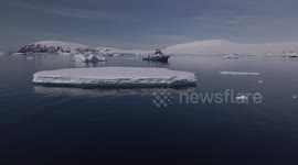 Stunning underwater ecosystem captured in the Antarctic