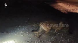 Israel: Police and special forces conducted raids in Hura, Lakiya, Shakib al-Salam, Bir Hadaj and Arar al-Naqab