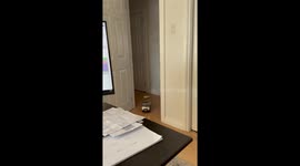 Toy Car Delivers Espresso Martini