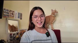 Cat jumps on objects in General Trias, causing them to fall on person