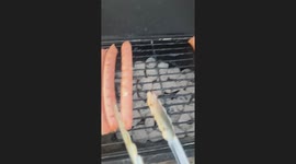 Dog runs away after being chased with grilling tongs in Darwin, Australia