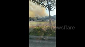 Japan: Wildfires Rage in Okayama and Ehime Prefectures, Evacuations Ordered 3