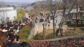 China: Energetic pandas charm visitors in Shaanxi