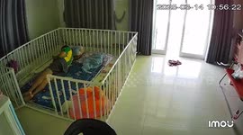 Snake slithers past sleeping homeowner on floor