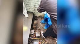 Brave boy, eight, saves four newborn puppies - from a narrow cave