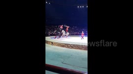 Acrobats stun crowd by leaping onto galloping horses and skipping on horseback