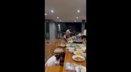 Violent storm rips through family's holiday dinner