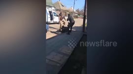 Suspected draft dodger dragged into van to fight war in Ukraine