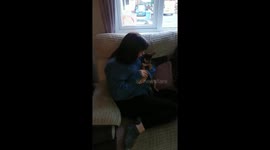 Paco the Chihuahua