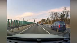 Biker smashes into back of car after it brakes for dog