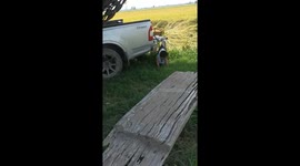 Hapless toddler gets stuck on pickup truck tailgate