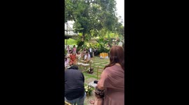 Adorable pet dogs enter with balloons at wedding ceremony