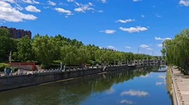 China: Int’l students on more concrete actions for greener development ahead of Boao Forum