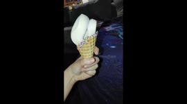 Ssscoops ahoy! Snake looks like swirl of ice cream