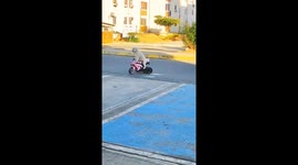 Puppy Rides on Three Wheeler