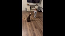 Kiddo training her puppy