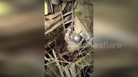 Puppy stranded in 16ft well rescued by Russian firemen